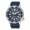 Citizen BN0151-17L Promaster Eco-Drive