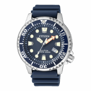 Citizen BN0151-17L Promaster Eco-Drive