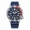 Citizen BN0168-06L Promaster Eco-Drive