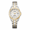 Citizen EC1186-85A Eco-Drive Funk-Solaruhr